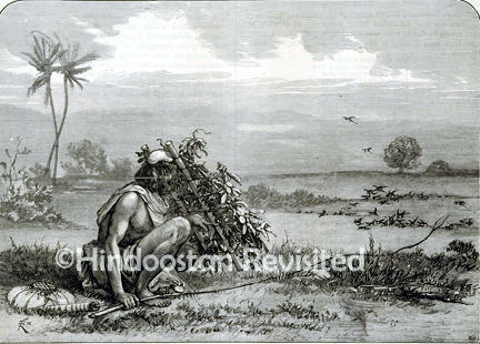 /data/Original Prints/Sports and Passtimes/INDIAN BIRD CATCHER.jpg